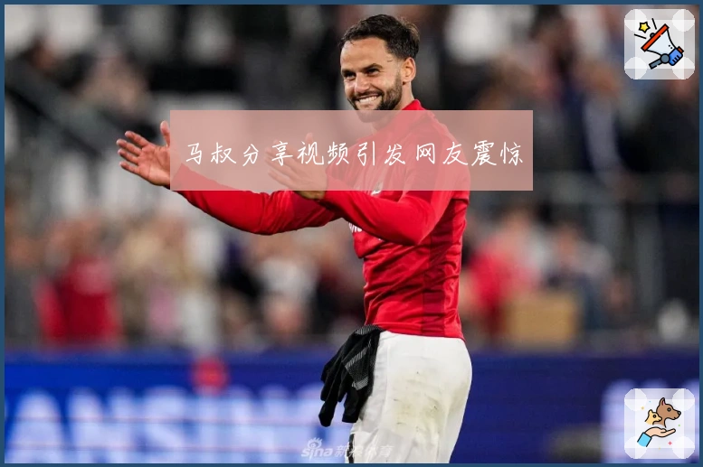 马叔分享视频引发网友震惊