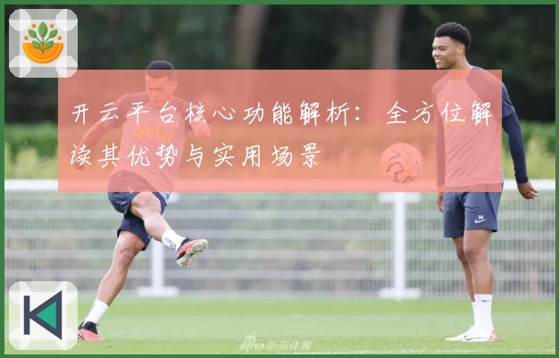 开云平台核心功能解析：全方位解读其优势与实用场景