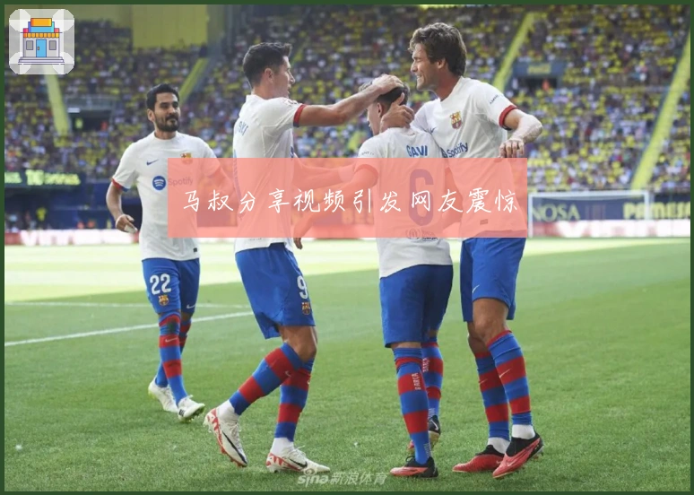 马叔分享视频引发网友震惊