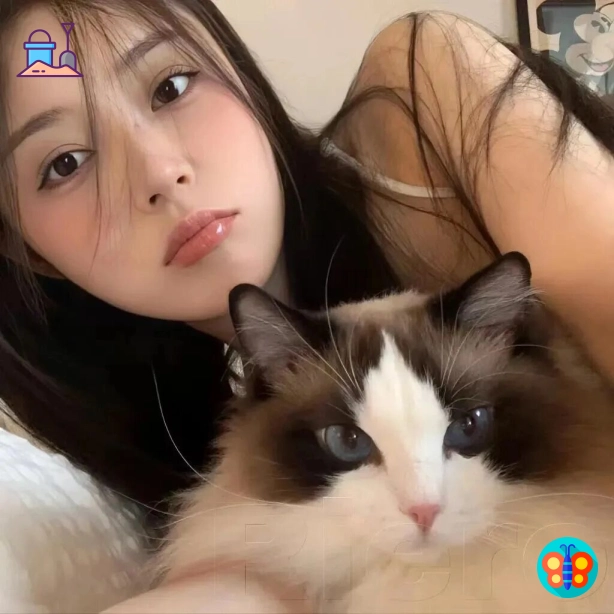 广州夜行人（江苏省）